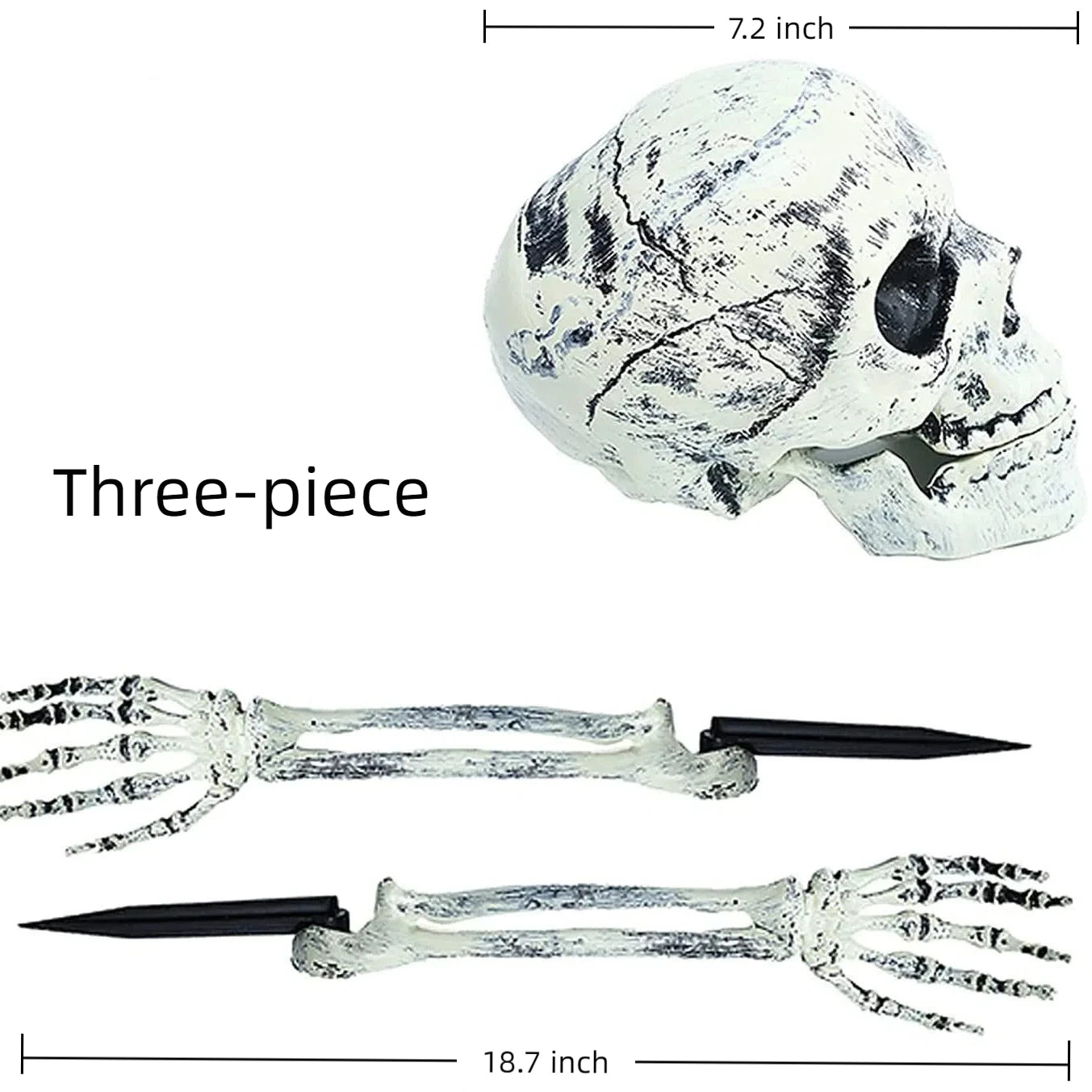 Skeleton Stakes Halloween Realistic Skull Skeleton Head Human Hand Arms