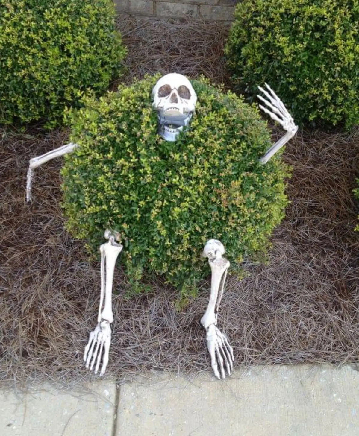 Skeleton Stakes Halloween Realistic Skull Skeleton Head Human Hand Arms